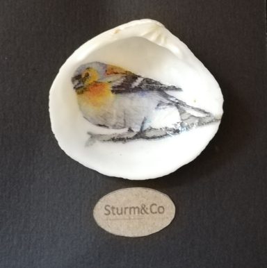 A hand-painted bird on a seashell placed on a dark background.
